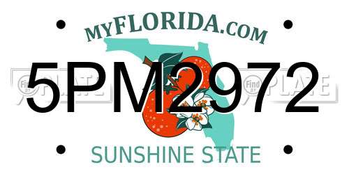 5PM2972 Florida License Plate
