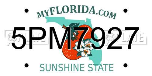 5PM7927 Florida License Plate