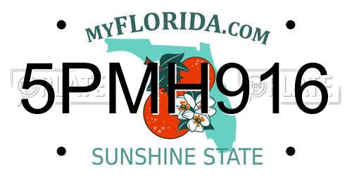 5PMH916 Florida License Plate
