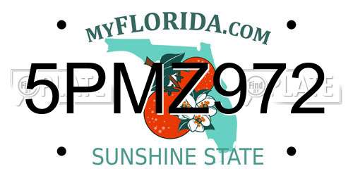 5PMZ972 Florida License Plate