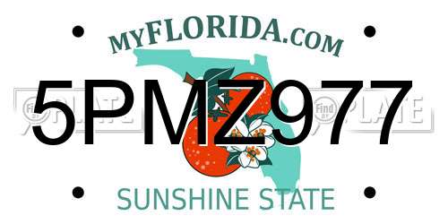 5PMZ977 Florida License Plate