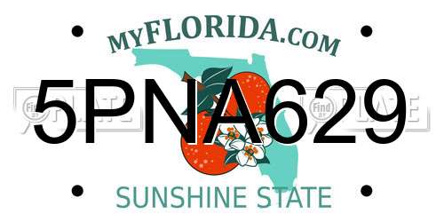 5PNA629 Florida License Plate