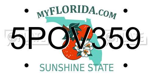5POV359 Florida License Plate