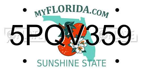 5PQV359 Florida License Plate