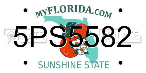 5PS5582 Florida License Plate