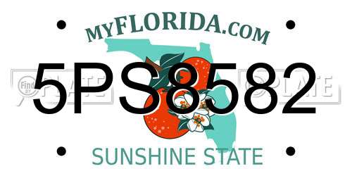 5PS8582 Florida License Plate