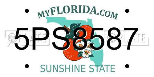 5PS8587 Florida License Plate