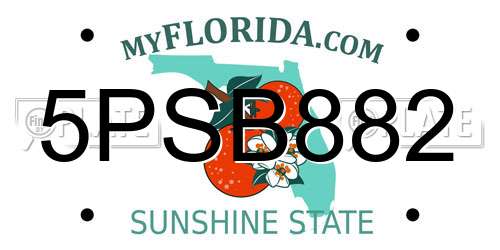 5PSB882 Florida License Plate