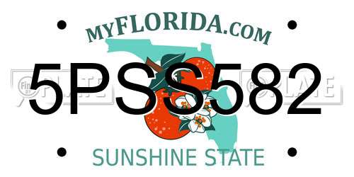 5PSS582 Florida License Plate