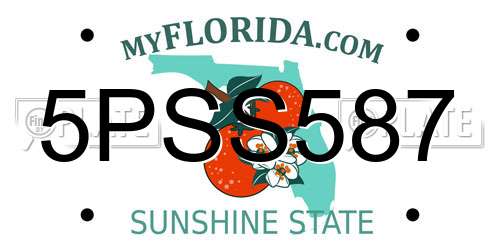 5PSS587 Florida License Plate