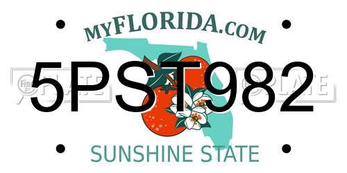 5PST982 Florida License Plate
