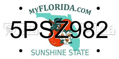 5PSZ982 Florida License Plate