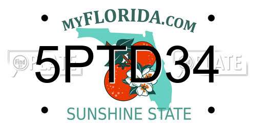5PTD34 Florida License Plate