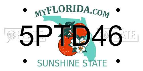 5PTD46 Florida License Plate