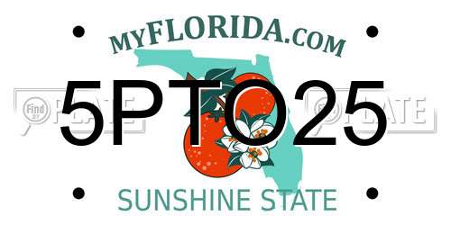 5PTO25 Florida License Plate