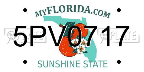 5PV0717 Florida License Plate