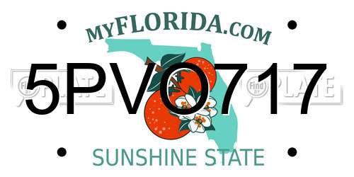 5PVO717 Florida License Plate