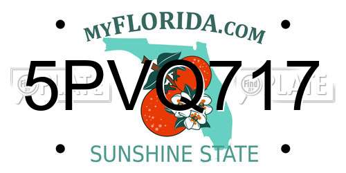 5PVQ717 Florida License Plate