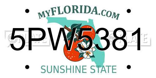 5PW5381 Florida License Plate