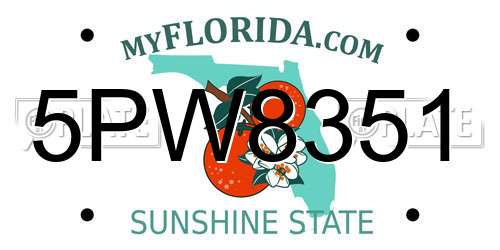 5PW8351 Florida License Plate