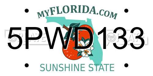 5PWD133 Florida License Plate