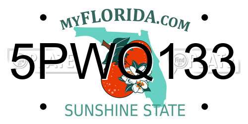 5PWQ133 Florida License Plate