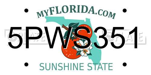 5PWS351 Florida License Plate
