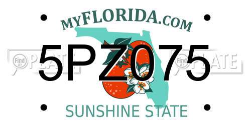 5PZ075 Florida License Plate