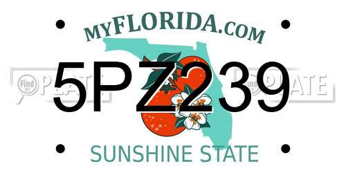 5PZ239 Florida License Plate
