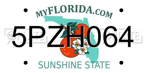 5PZH064 Florida License Plate