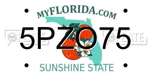 5PZO75 Florida License Plate