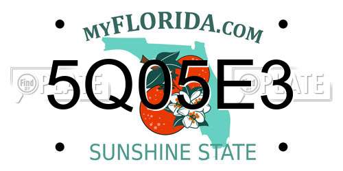 5Q05E3 Florida License Plate