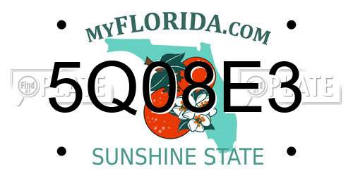 5Q08E3 Florida License Plate