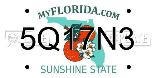 5Q17N3 Florida License Plate
