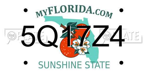 5Q17Z4 Florida License Plate