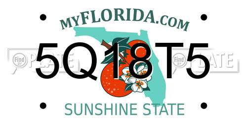 5Q18T5 Florida License Plate