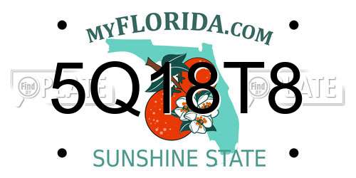 5Q18T8 Florida License Plate