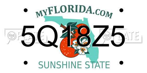 5Q18Z5 Florida License Plate