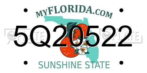 5Q20522 Florida License Plate