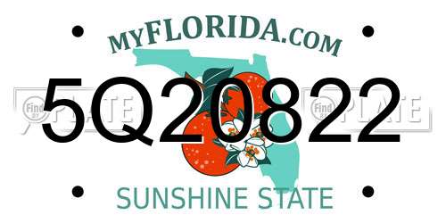 5Q20822 Florida License Plate
