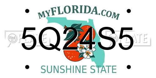 5Q24S5 Florida License Plate