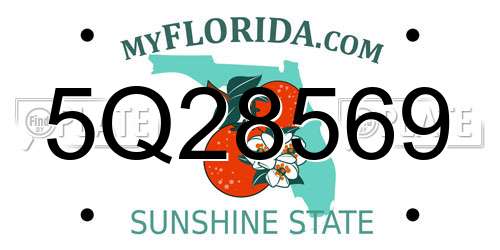 5Q28569 Florida License Plate