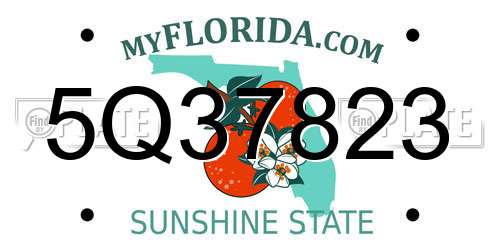 5Q37823 Florida License Plate