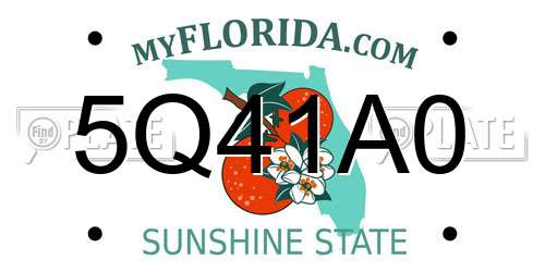 5Q41A0 Florida License Plate