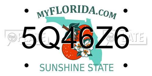 5Q46Z6 Florida License Plate