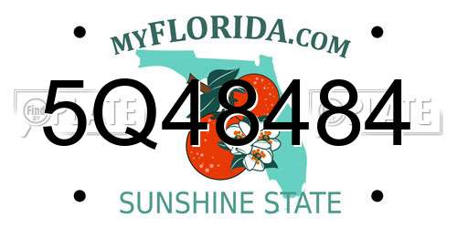 5Q48484 Florida License Plate
