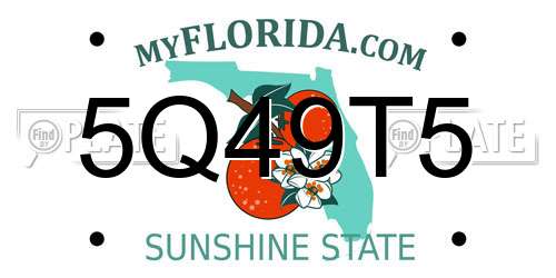 5Q49T5 Florida License Plate