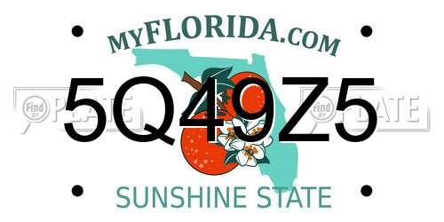 5Q49Z5 Florida License Plate