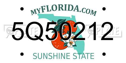 5Q50212 Florida License Plate