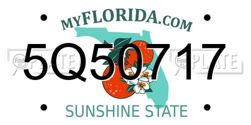 5Q50717 Florida License Plate